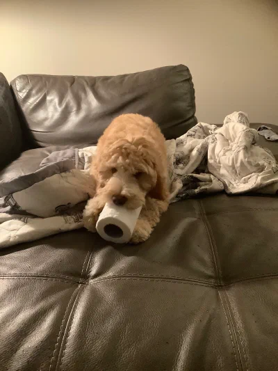 /galleries/winston/IMG_0082.jpeg