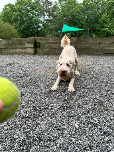 /galleries/winston/IMG_0099.jpeg