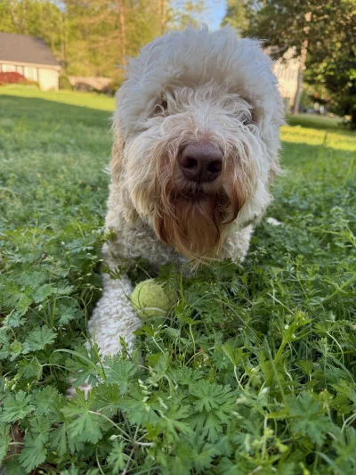 /galleries/winston/IMG_0413.jpeg