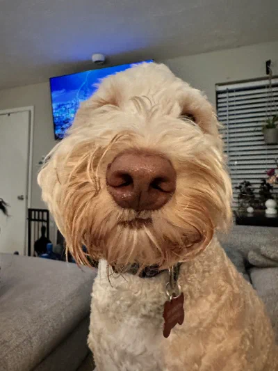 /galleries/winston/IMG_1049.jpeg