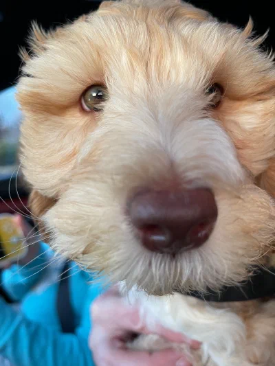 /galleries/winston/IMG_1462.jpeg