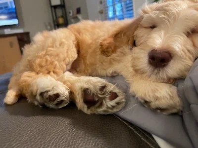 /galleries/winston/IMG_1480.jpeg
