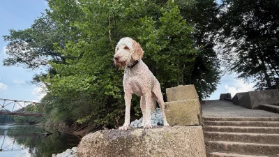 /galleries/winston/IMG_1561.jpeg