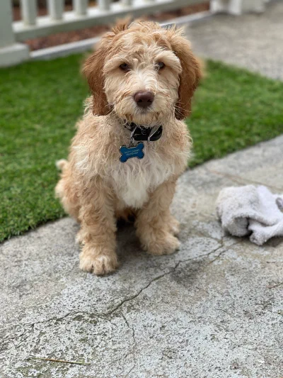 /galleries/winston/IMG_1645.jpeg