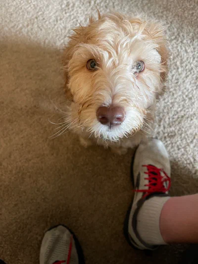 /galleries/winston/IMG_1653.jpeg