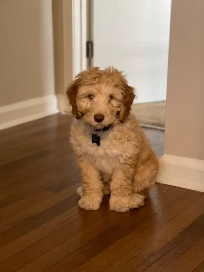 /galleries/winston/IMG_1719.jpeg