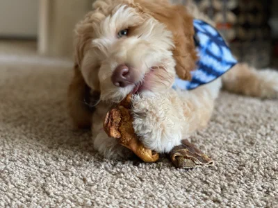 /galleries/winston/IMG_1815.jpeg