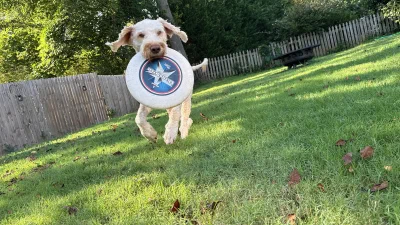 /galleries/winston/IMG_2234.jpeg