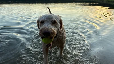 /galleries/winston/IMG_2527.jpeg