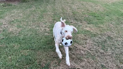 /galleries/winston/IMG_2560.jpeg