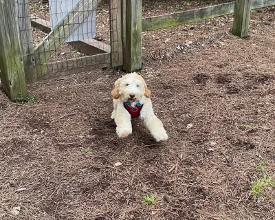 /galleries/winston/IMG_2964.jpeg
