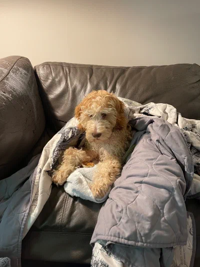 /galleries/winston/IMG_3057.jpeg