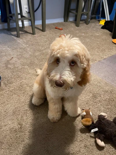 /galleries/winston/IMG_3247.jpeg