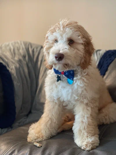 /galleries/winston/IMG_3324.jpeg