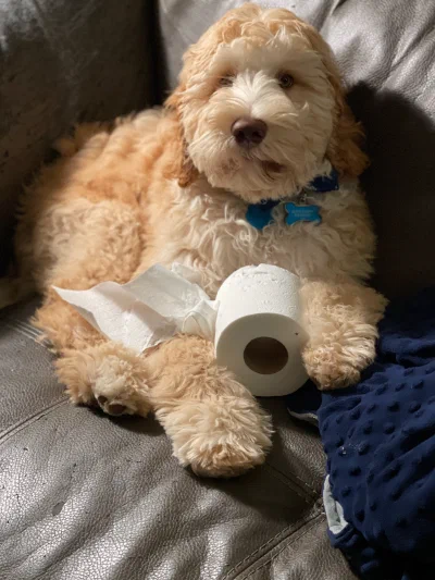 /galleries/winston/IMG_3392.jpeg