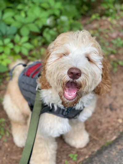 /galleries/winston/IMG_3467.jpeg