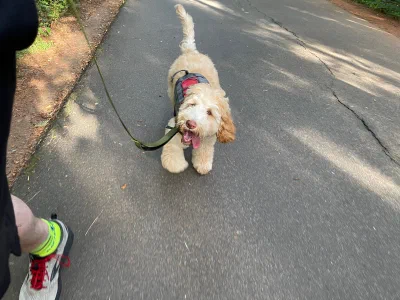 /galleries/winston/IMG_3476.jpeg