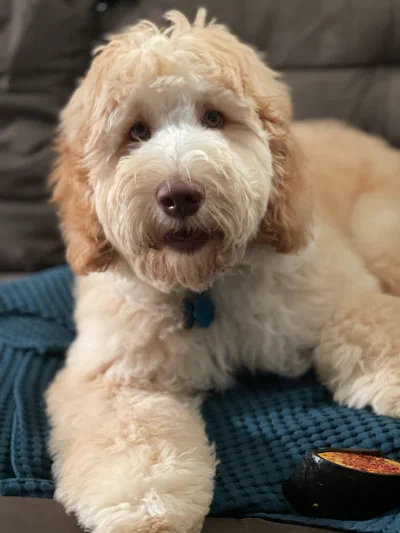 /galleries/winston/IMG_3673.jpeg