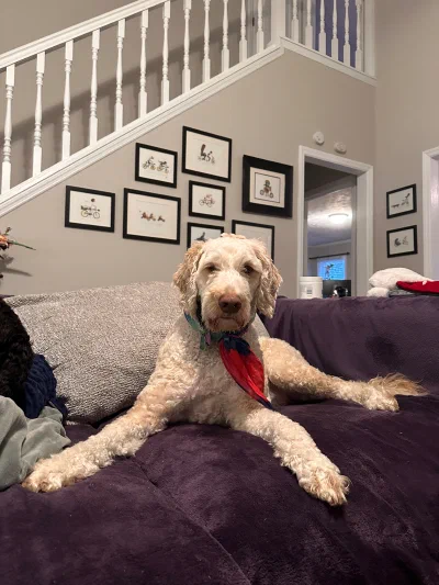 /galleries/winston/IMG_3693.jpeg