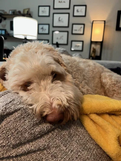/galleries/winston/IMG_3983.jpeg