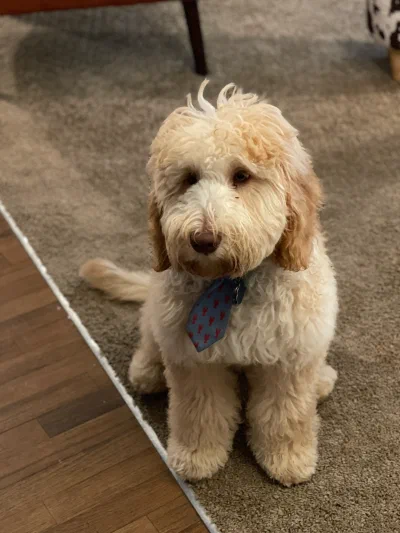 /galleries/winston/IMG_4041.jpeg