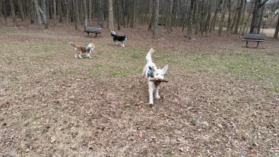 /galleries/winston/IMG_4149 (1).jpeg
