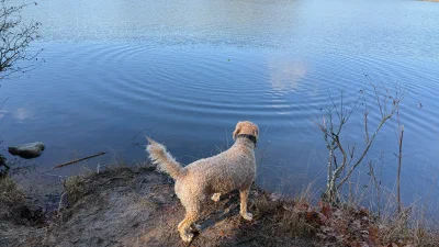 /galleries/winston/IMG_4226.jpeg