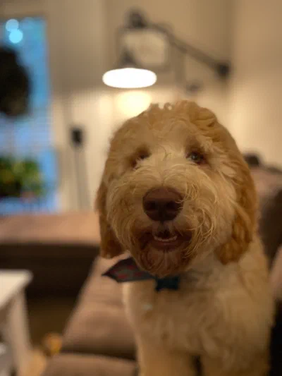 /galleries/winston/IMG_4312.jpeg
