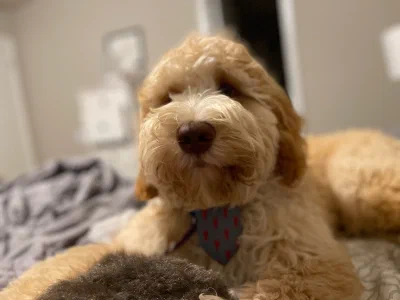 /galleries/winston/IMG_4336.jpeg