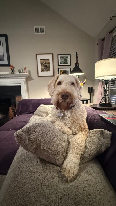 /galleries/winston/IMG_4498.jpeg