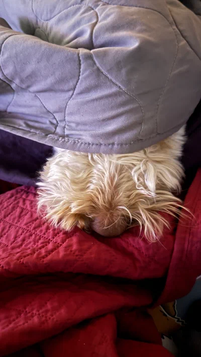/galleries/winston/IMG_5060.jpeg