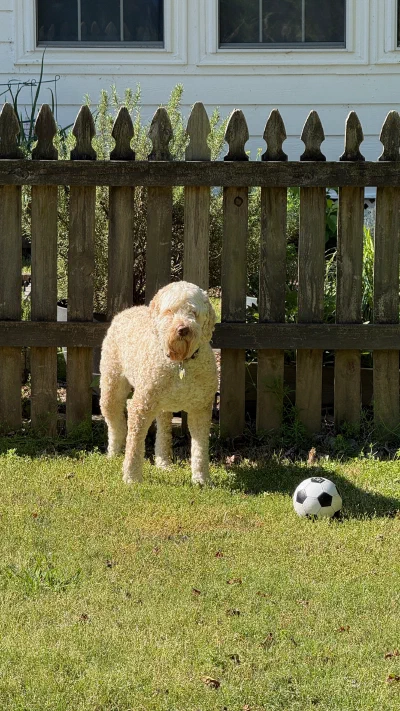 /galleries/winston/IMG_5328.jpeg