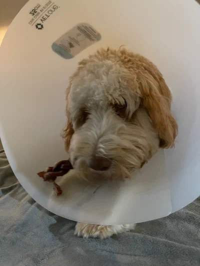 /galleries/winston/IMG_5396.jpeg
