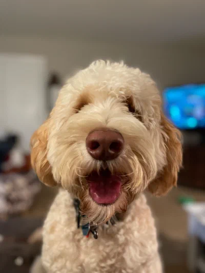 /galleries/winston/IMG_5542.jpeg