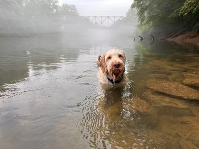 /galleries/winston/IMG_5765.jpeg