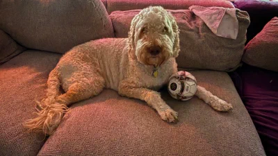 /galleries/winston/IMG_5823.jpeg
