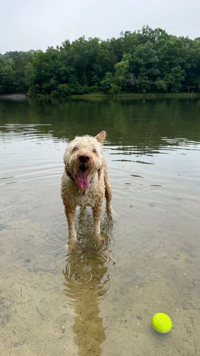 /galleries/winston/IMG_5856.jpeg