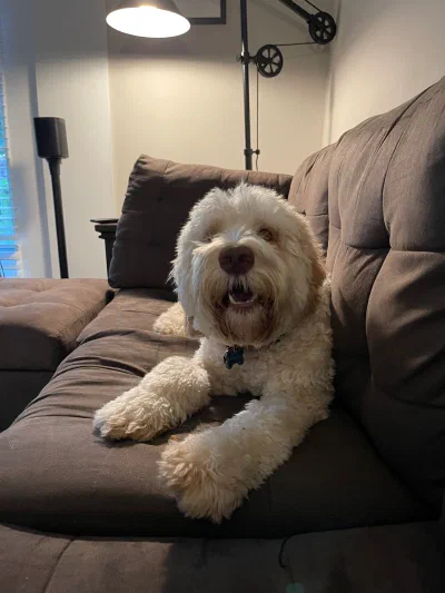 /galleries/winston/IMG_5894.jpeg