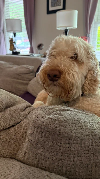 /galleries/winston/IMG_5944.jpeg
