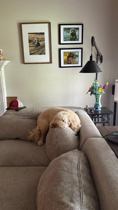 /galleries/winston/IMG_5959.jpeg