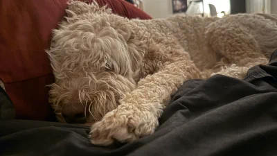 /galleries/winston/IMG_6018.jpeg