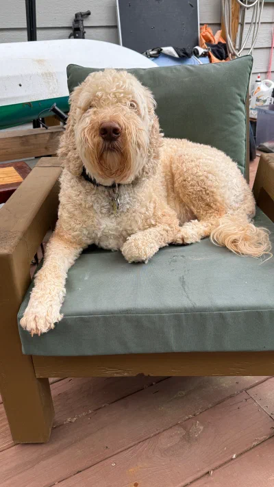 /galleries/winston/IMG_6020.jpeg
