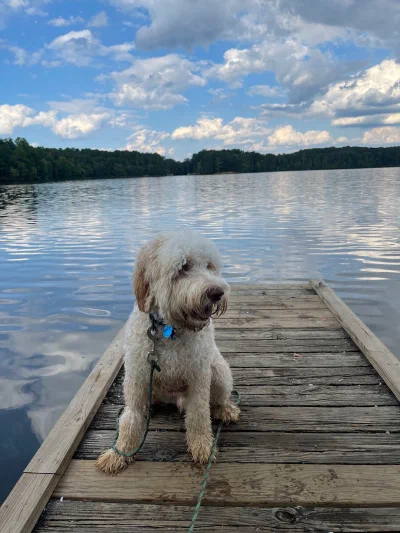 /galleries/winston/IMG_6031.jpeg