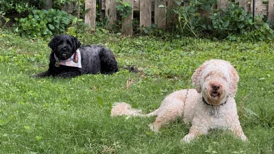 /galleries/winston/IMG_6052.jpeg