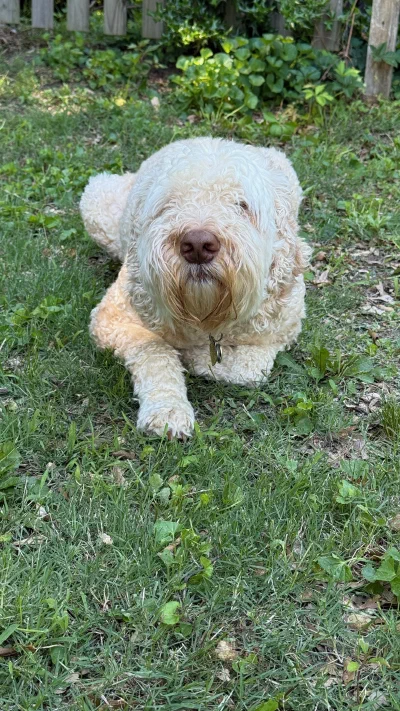 /galleries/winston/IMG_6084.jpeg