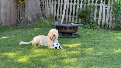 /galleries/winston/IMG_6089.jpeg