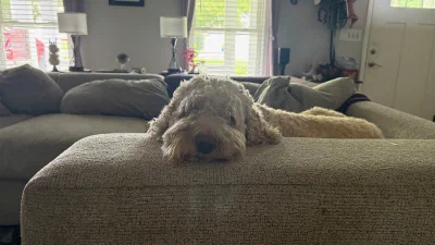 /galleries/winston/IMG_6134.jpeg