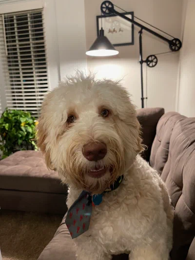 /galleries/winston/IMG_6173.jpeg