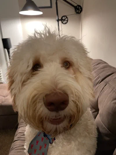 /galleries/winston/IMG_6181.jpeg