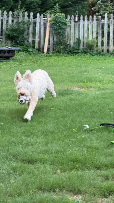 /galleries/winston/IMG_6185.jpeg